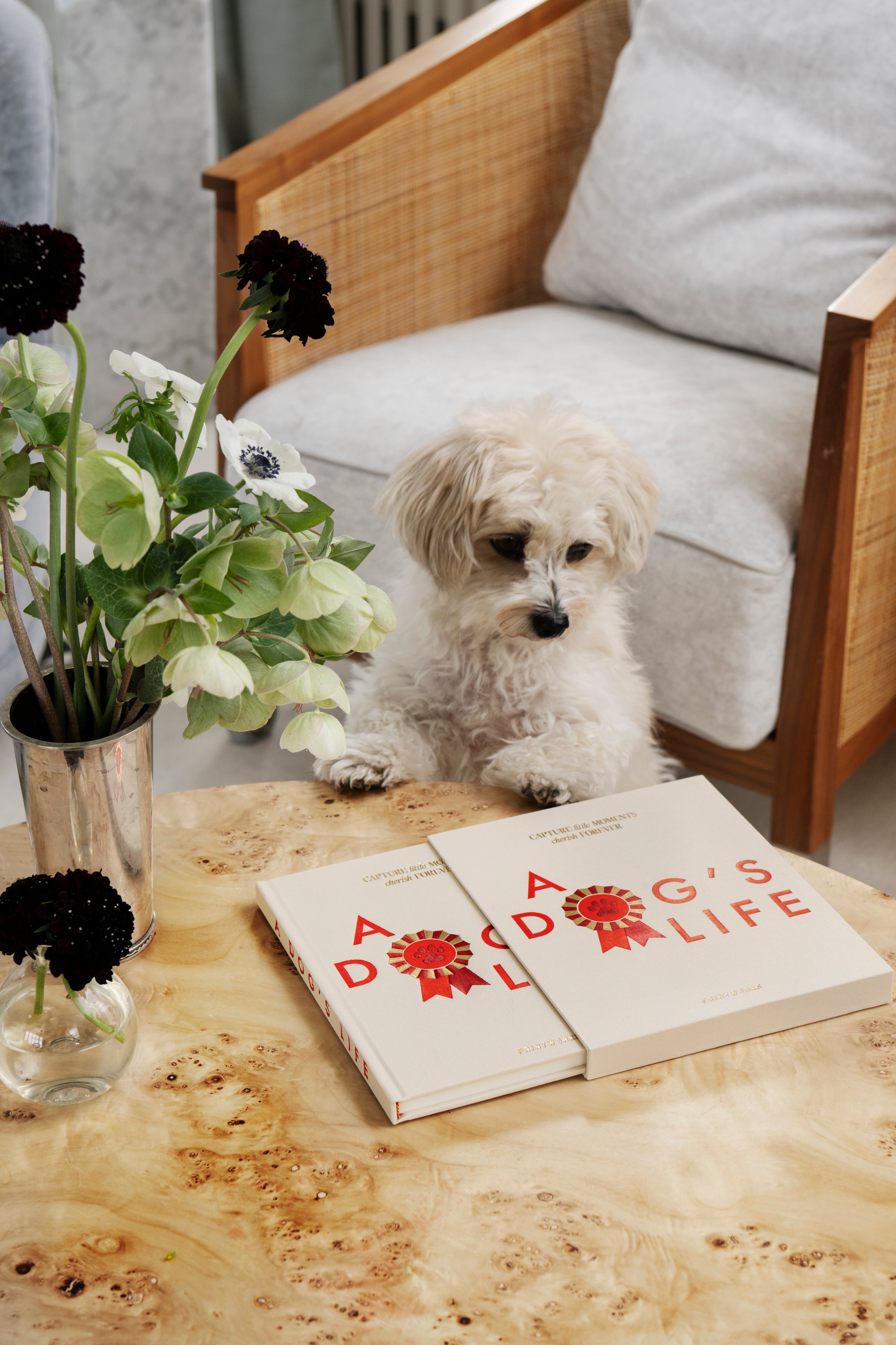 Dziennik A DOG'S LIFE beige mit Rot
