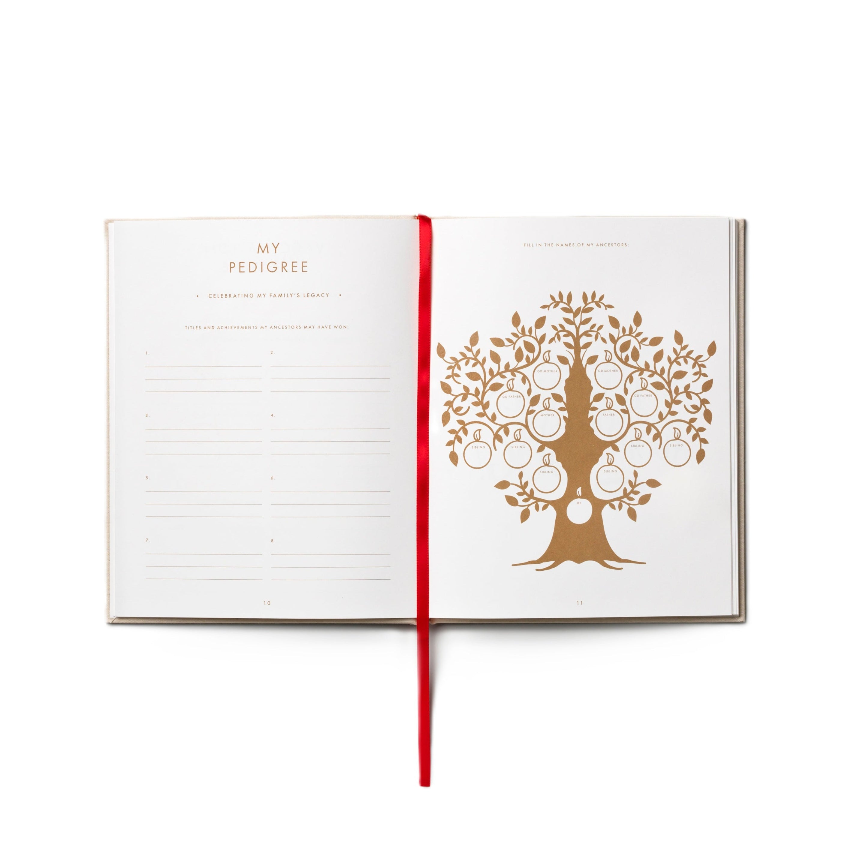 Dziennik A DOG'S LIFE beige mit Rot