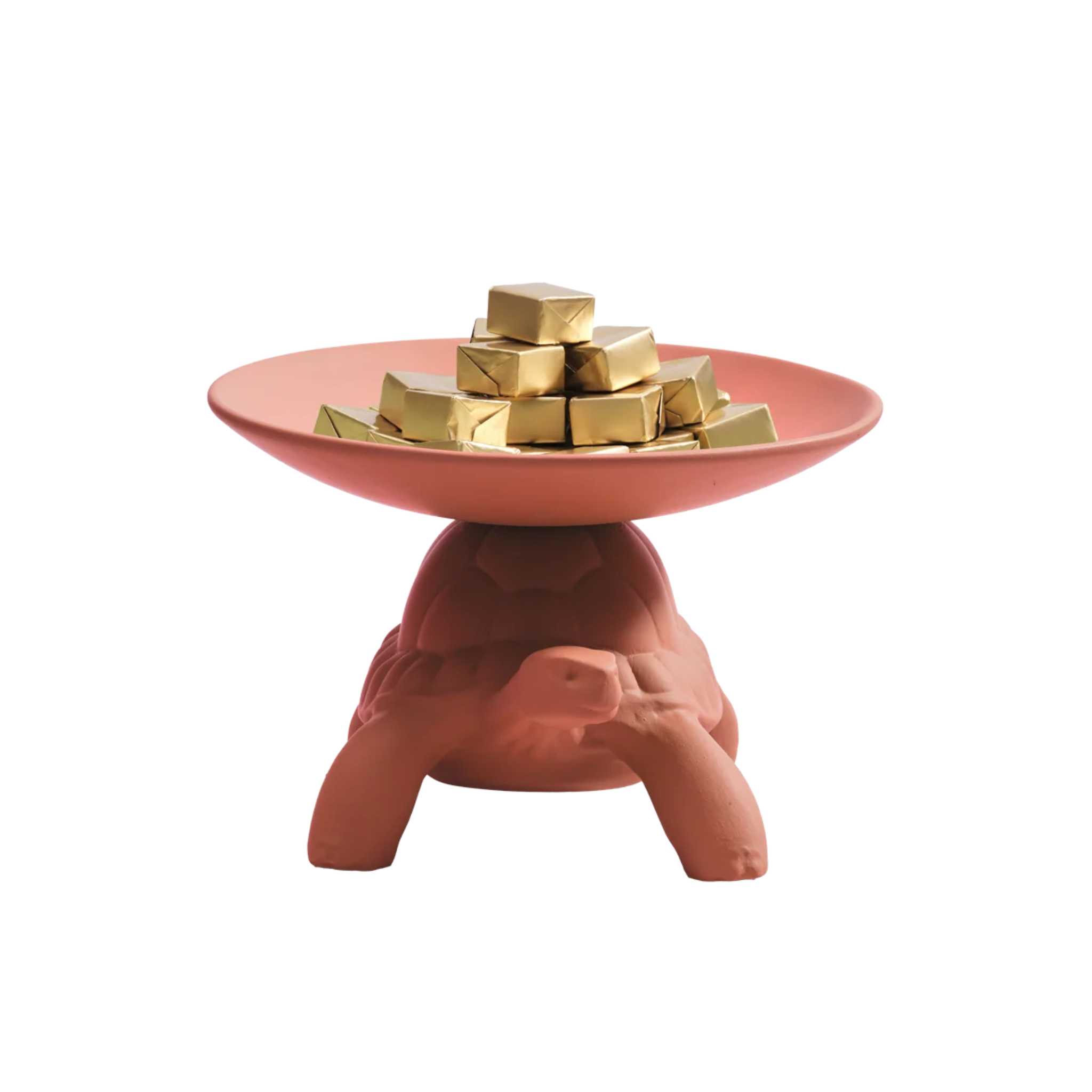 Taca Schildkröte TRAGEN Terakota