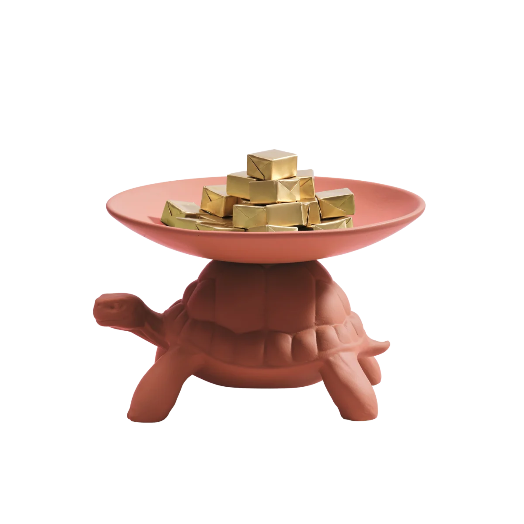 Taca Schildkröte TRAGEN Terakota