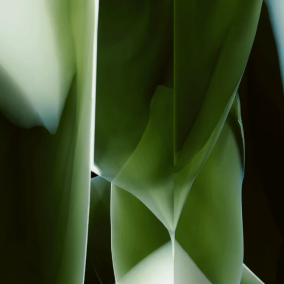 STUDIO NUCLEO green rug