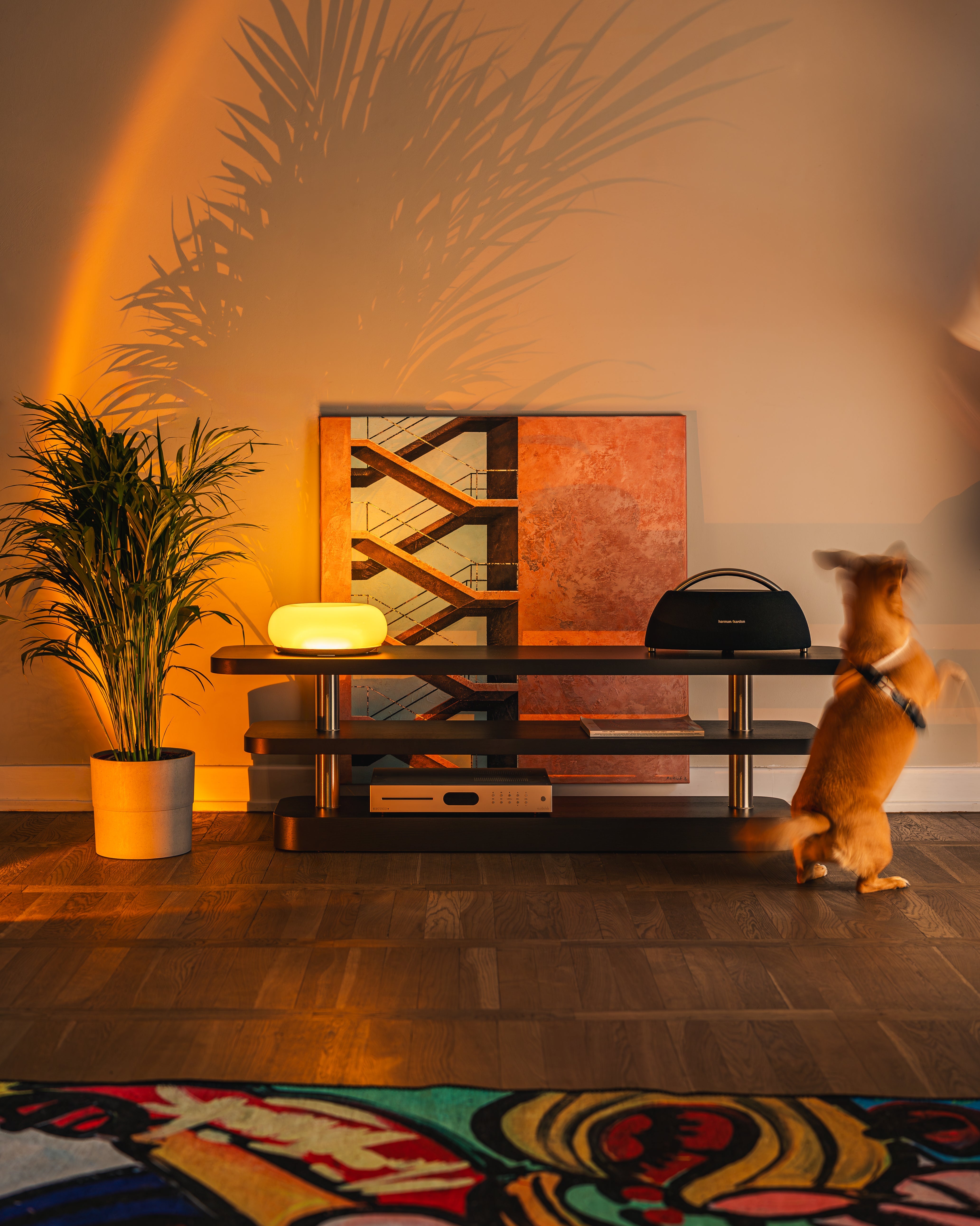 RTV Cabinet REL black and gold veneer with steel elements