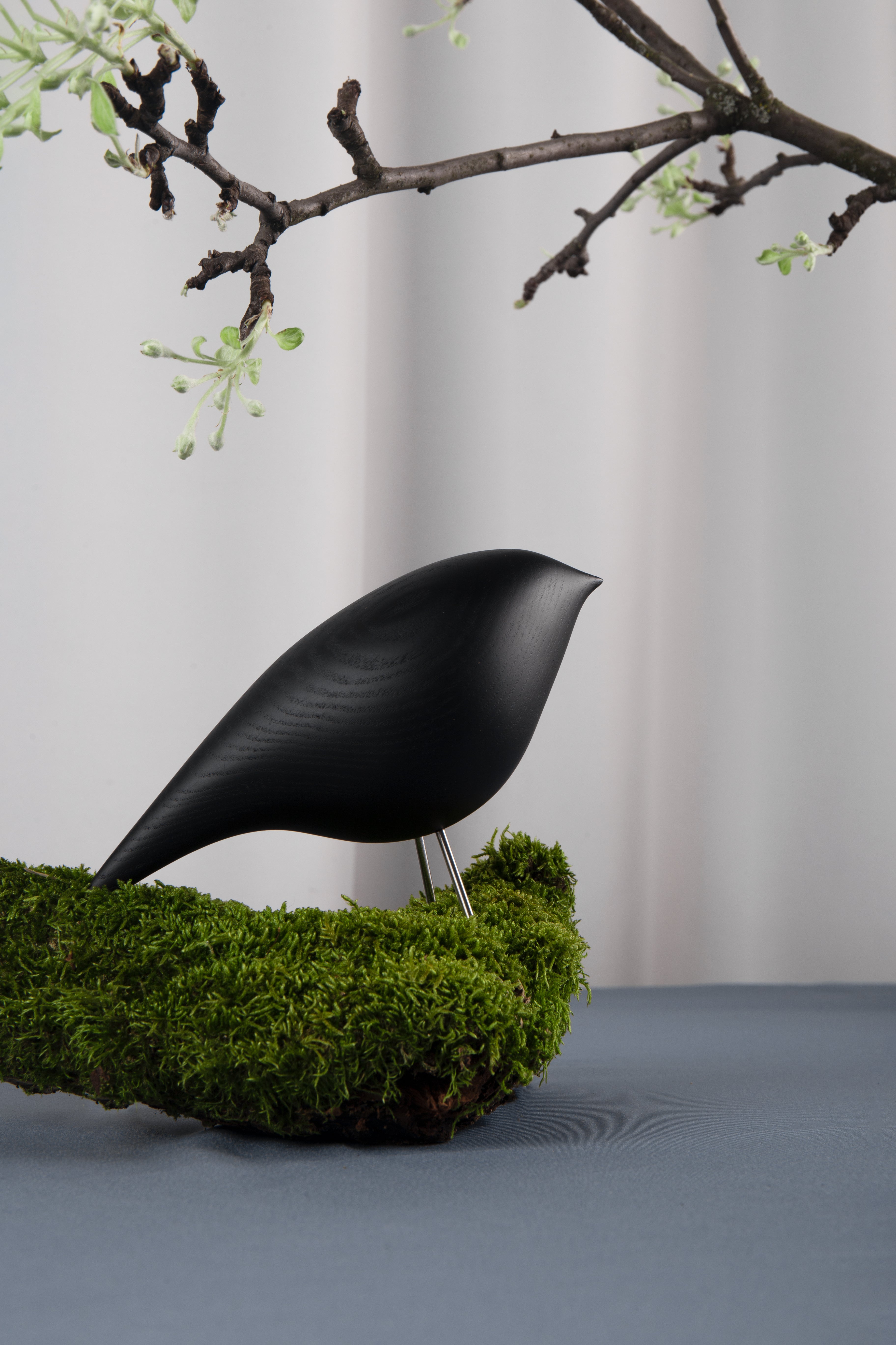 Decorative Figure TWEETY DECORATIVE BIRD black ash