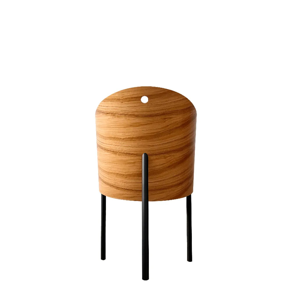 Kosten Stuhl Olivenfurnier mit beige Leder