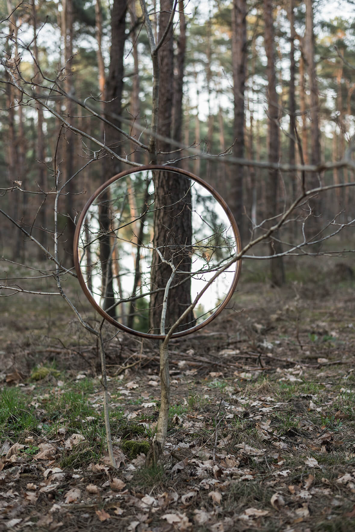 DYSK Mirror 2 Walnut