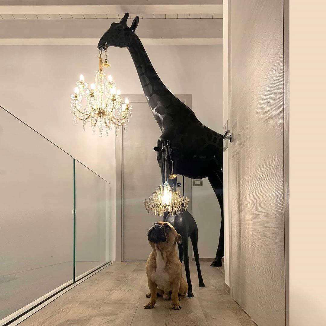 Lampa GIRAFFE IN LOVE M czarna Qeeboo    Eye on Design
