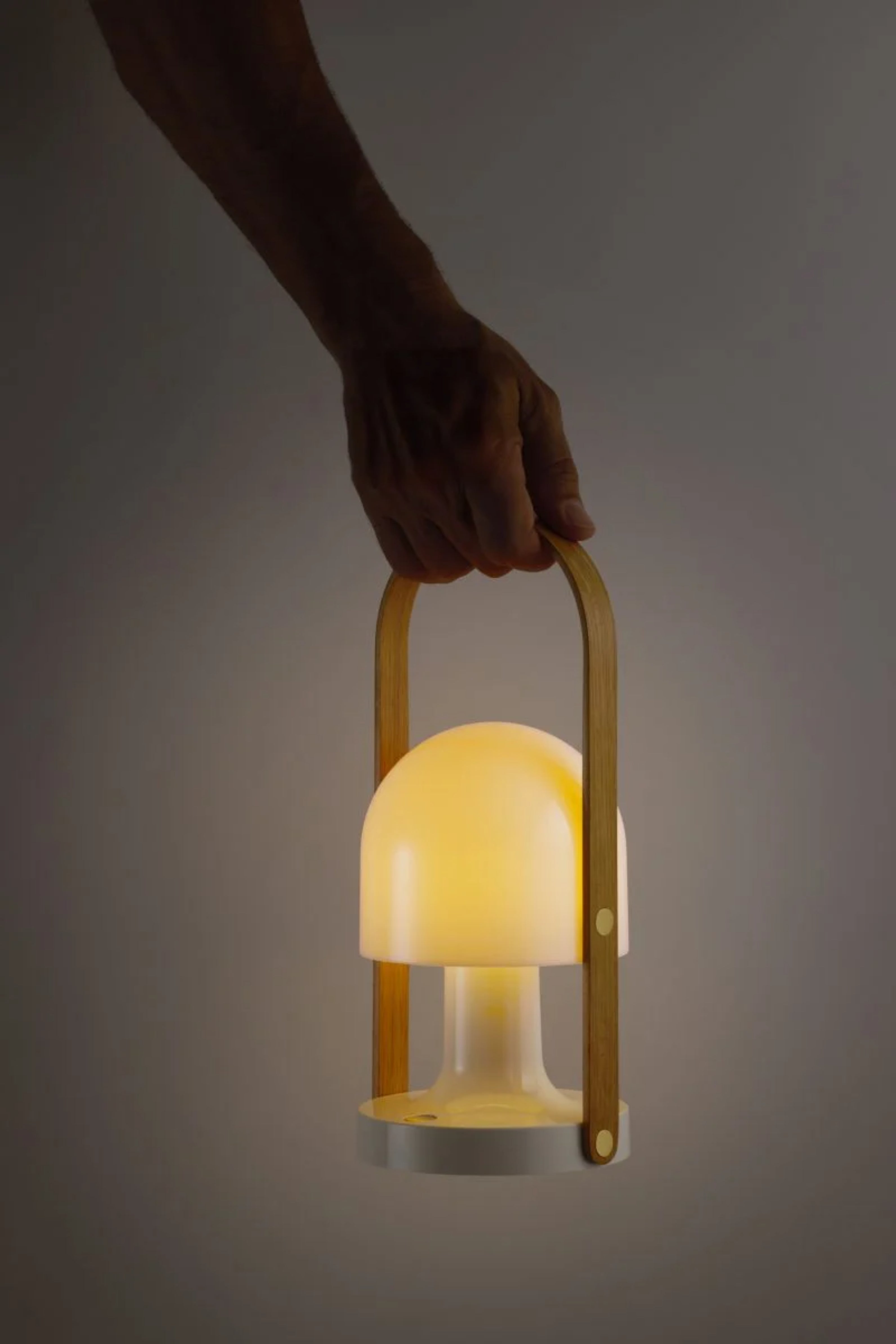 FOLLOWME Portable Lamp in White with Brown