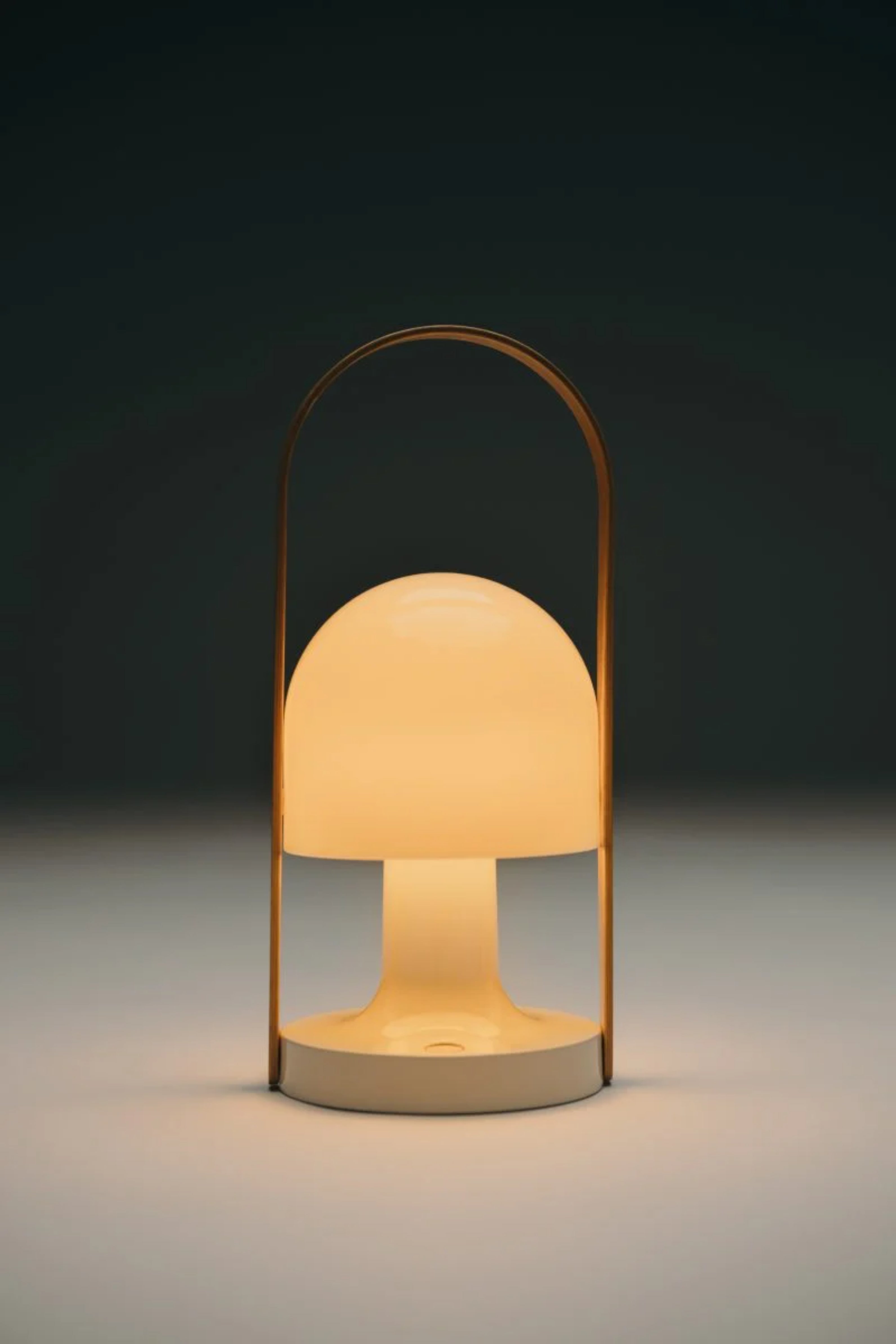 FOLLOWME Portable Lamp in White with Brown