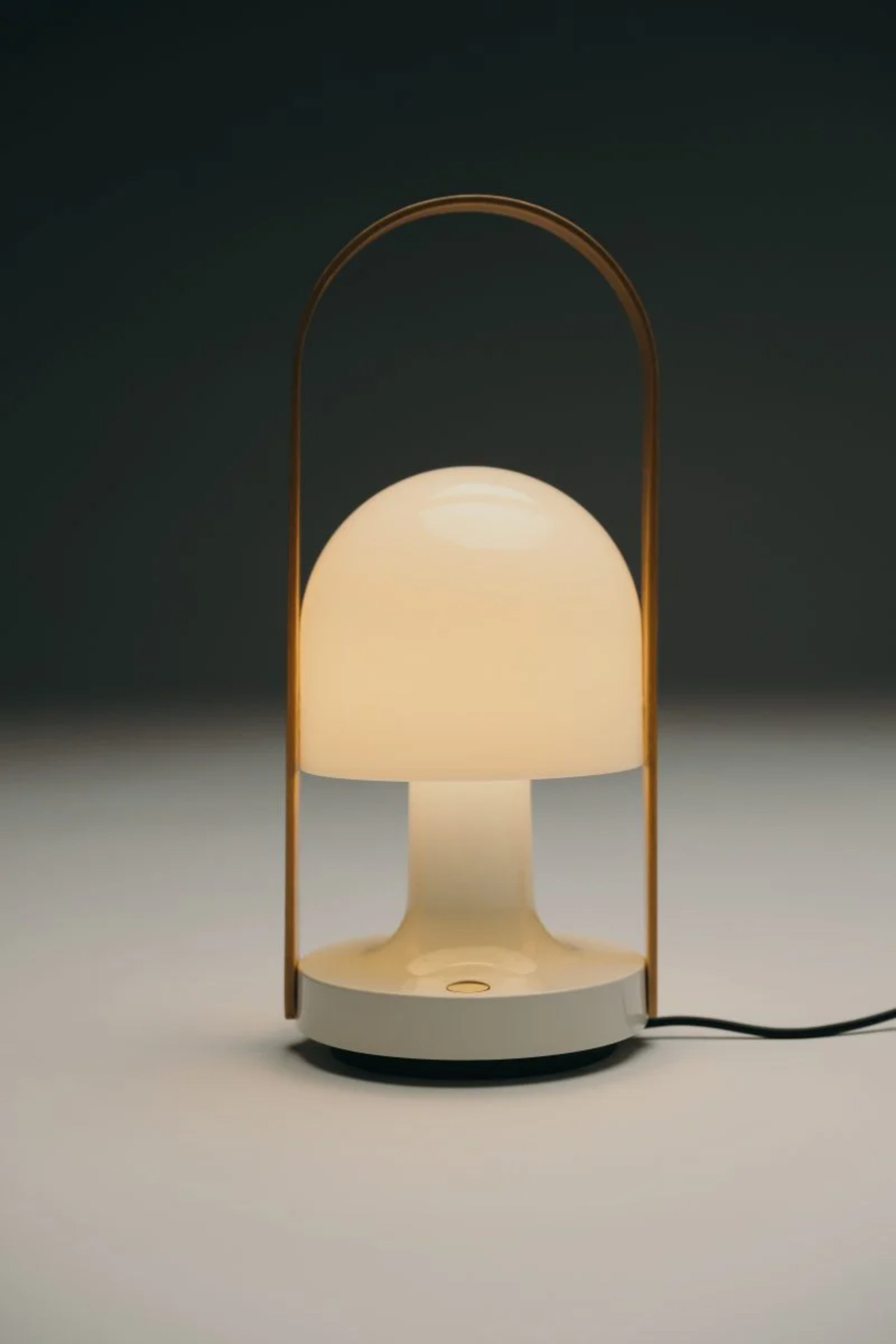 FOLLOWME Portable Lamp in White with Brown