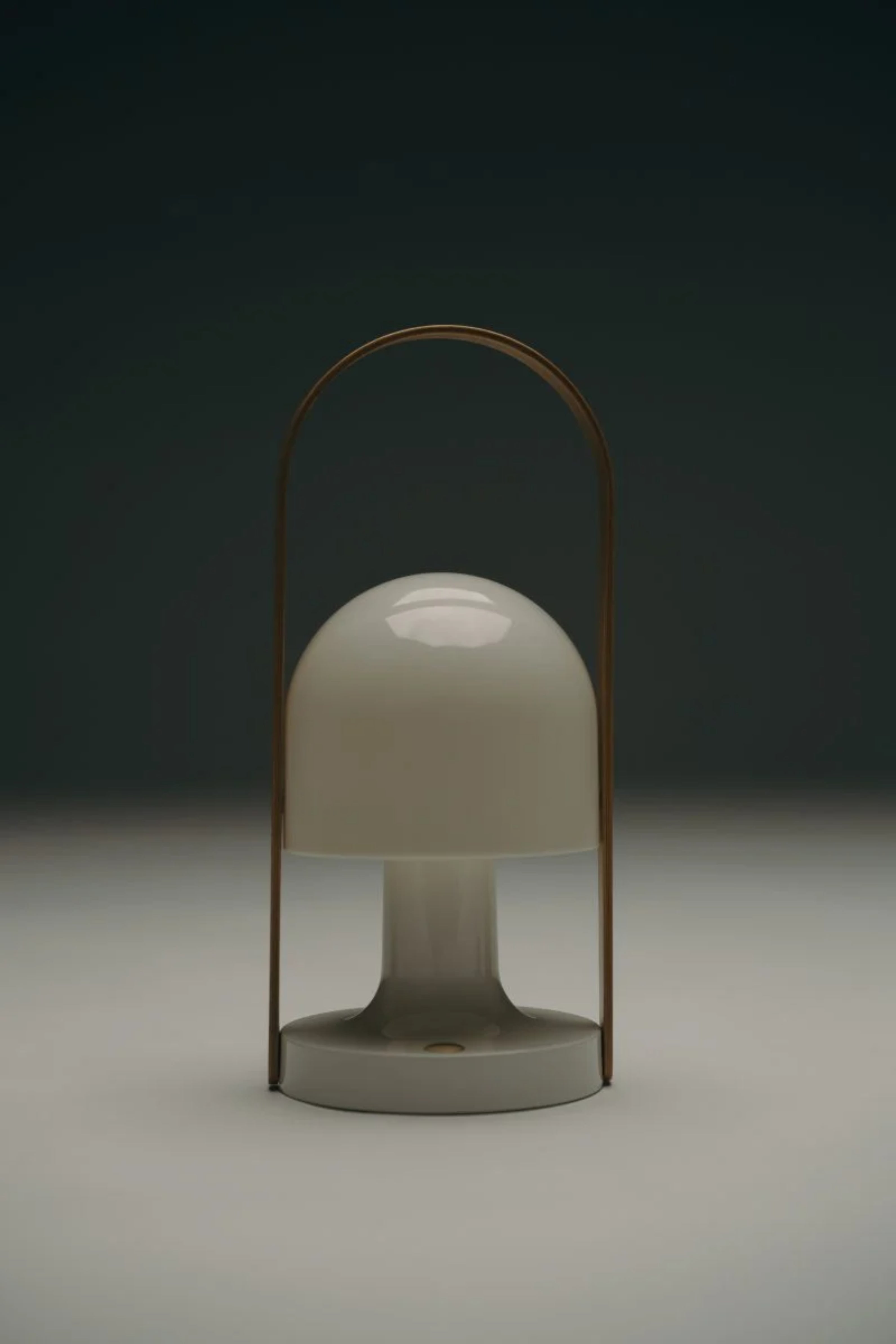 FOLLOWME Portable Lamp in White with Brown