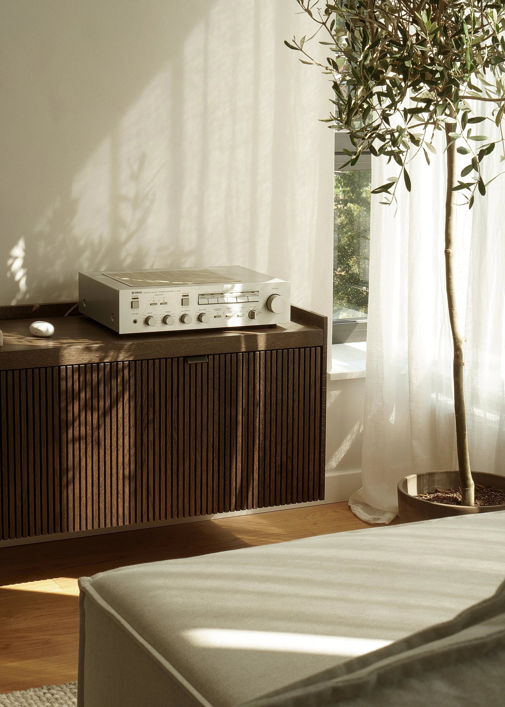 Wandregal RTV MEDA aus Eichenholz