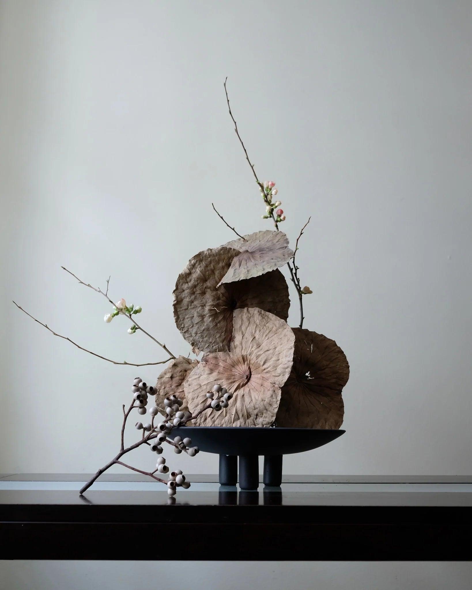 Misa DUCK PLATE ciemnobrązowy 101 Copenhagen    Eye on Design