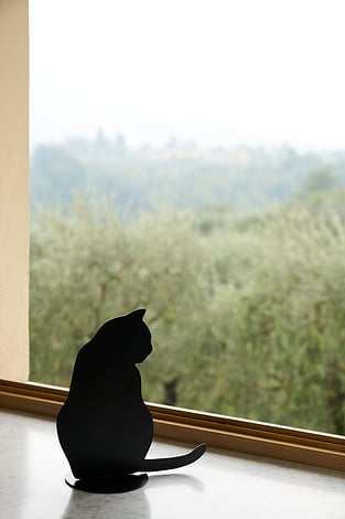 Dekoration OMBRES DE CHATS schwarz