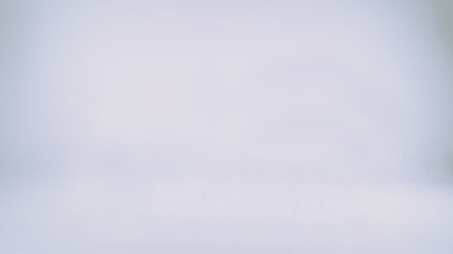 Runder Ordner Argo Eichenfurnier