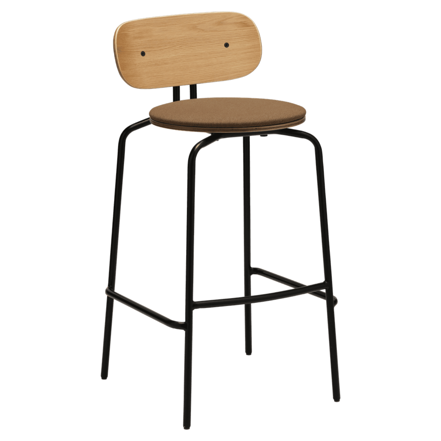 Zimt Curious Hoker mit einer schwarzen Basis