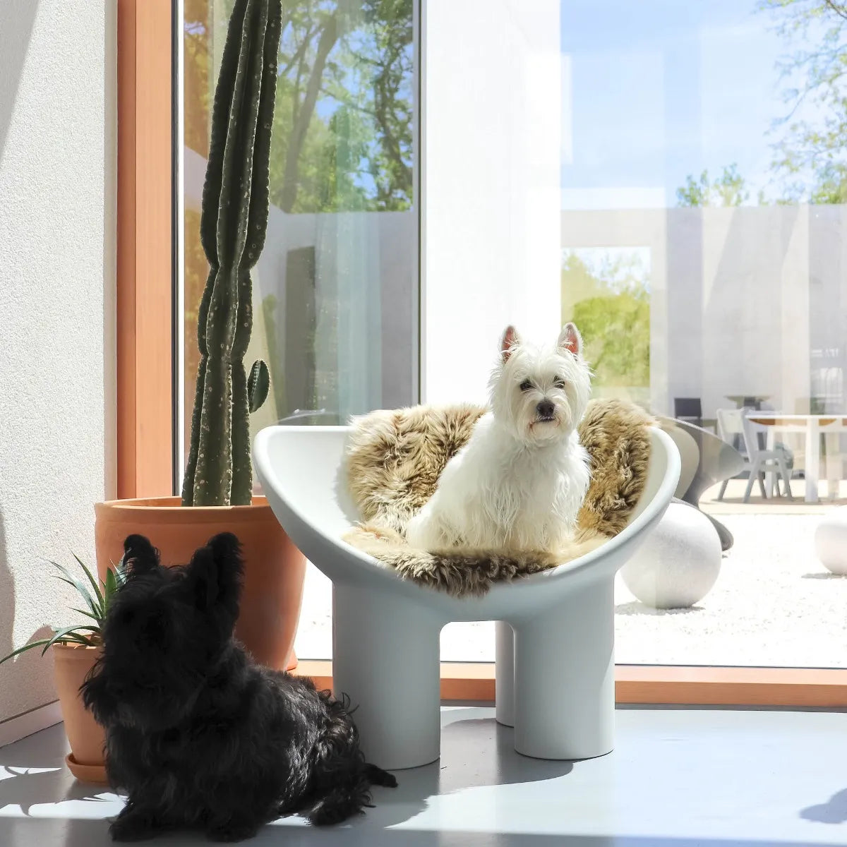 Light gray route chair