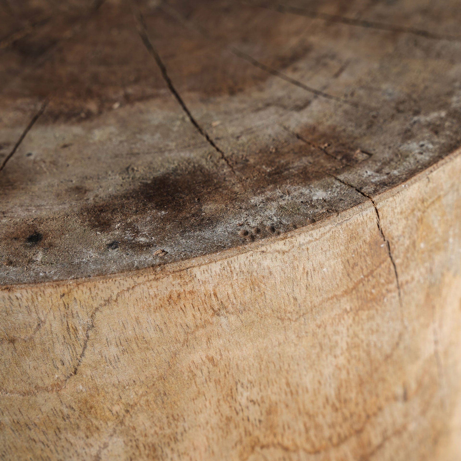 Hocker GUELMA Suarholz