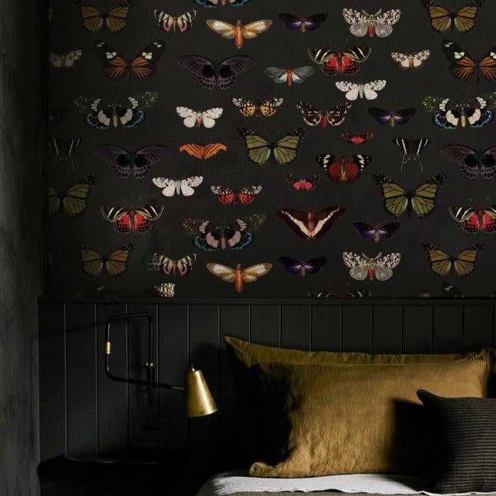 Tapeta Colorful Butterfly Green Wallcolors    Eye on Design