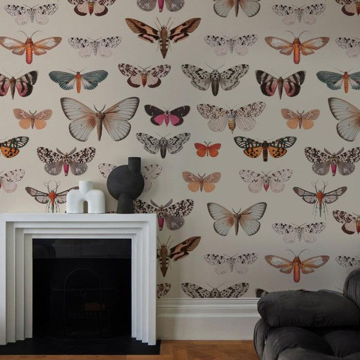 Tapeta Colorful Butterfly Light Beige Wallcolors    Eye on Design