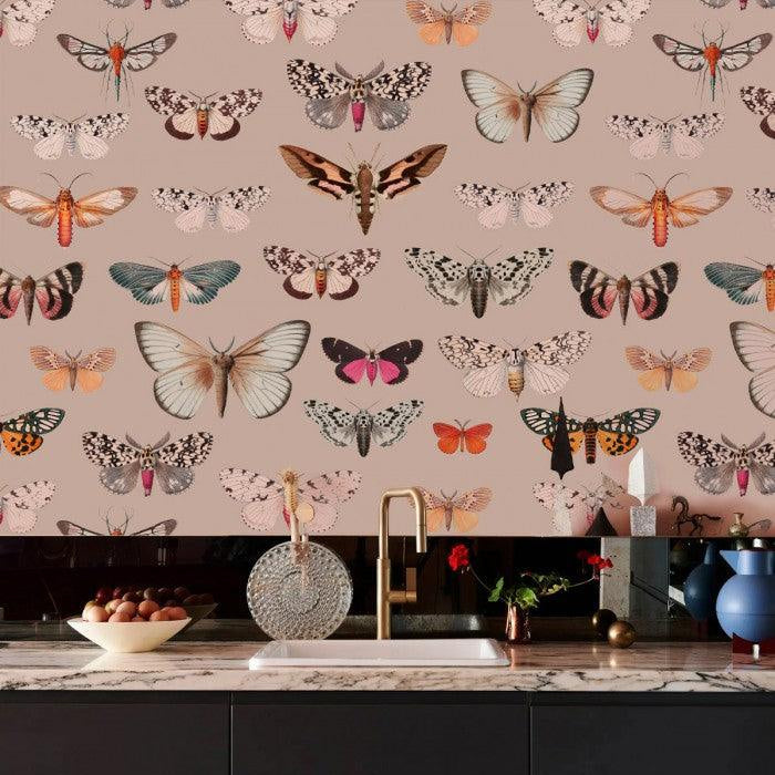 Tapeta Colorful Butterfly Pink Wallcolors    Eye on Design