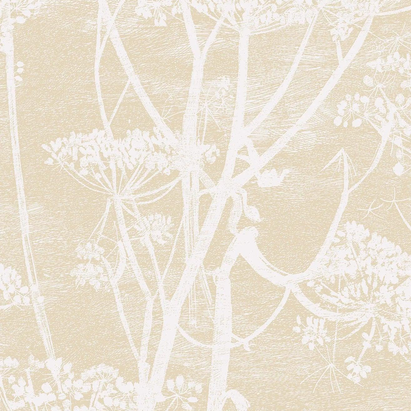 Tapeta CONTEMPORARY COLLECTION - Cow Parsley ciepły beż Cole & Son Default Title   Eye on Design