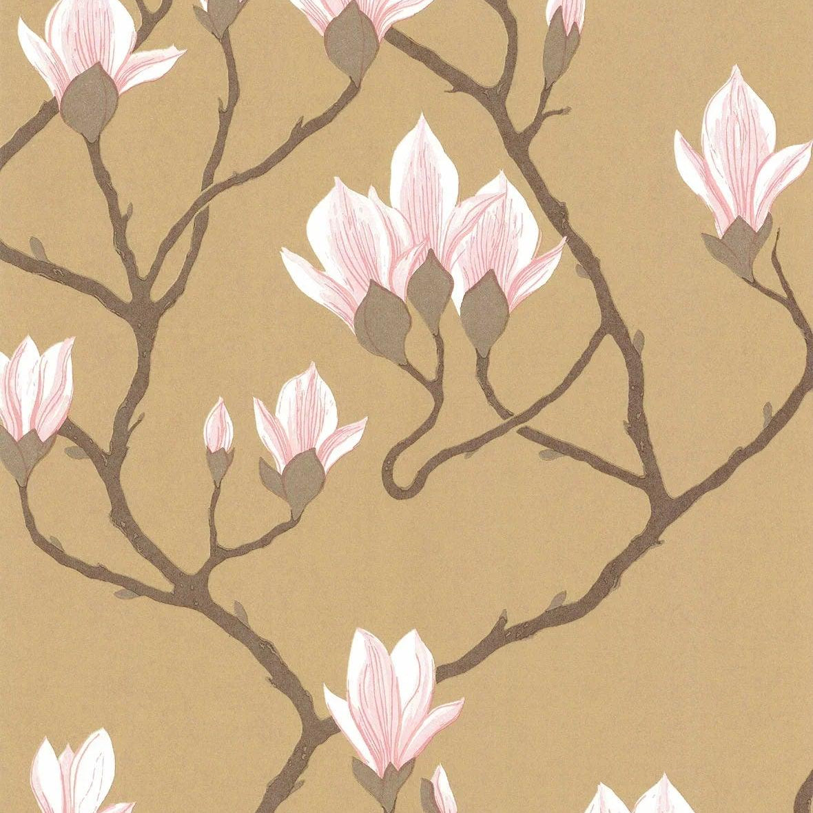 Tapeta CONTEMPORARY COLLECTION - Magnolia metaliczny brąz Cole & Son Default Title   Eye on Design