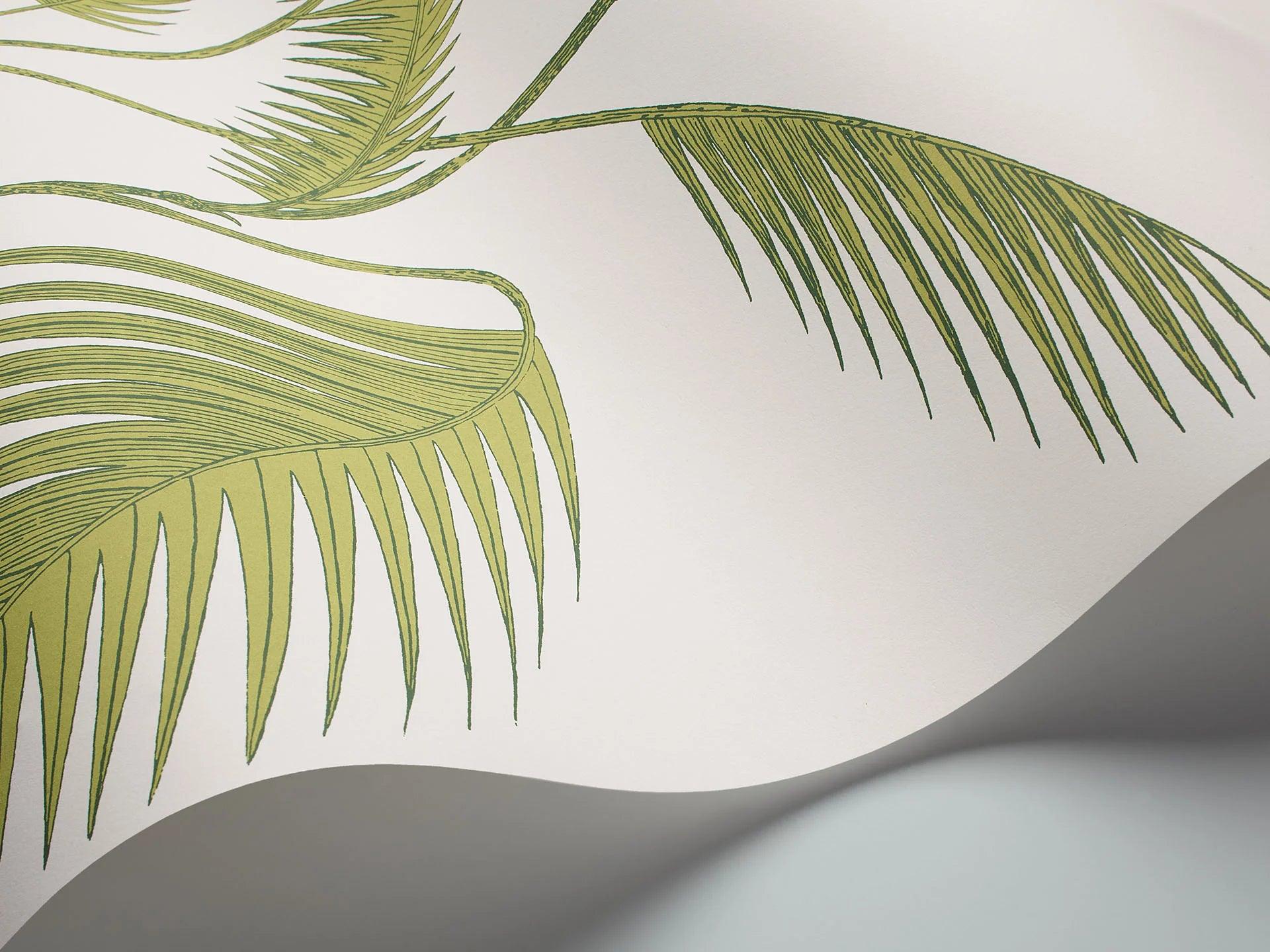 Tapeta CONTEMPORARY COLLECTION - Palm Leaves oliwkowy Cole & Son    Eye on Design