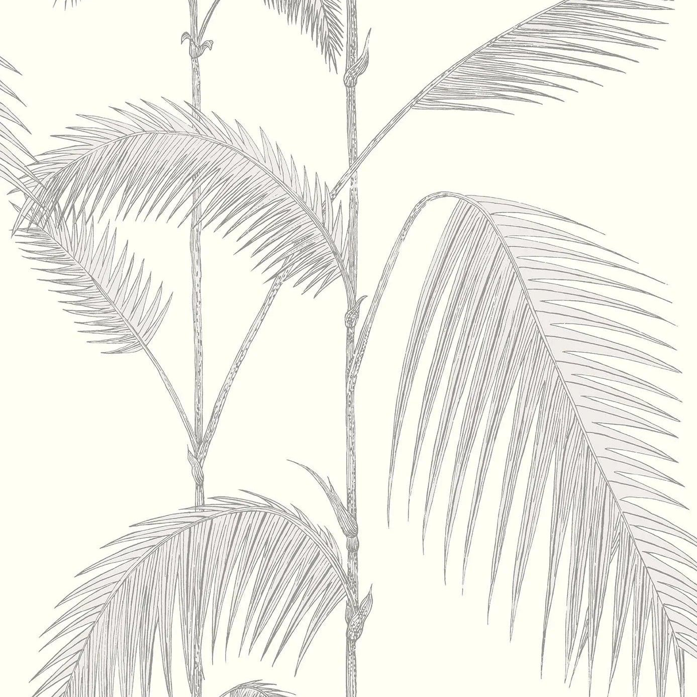 Tapeta CONTEMPORARY COLLECTION - Palm Leaves szary Cole & Son Default Title   Eye on Design