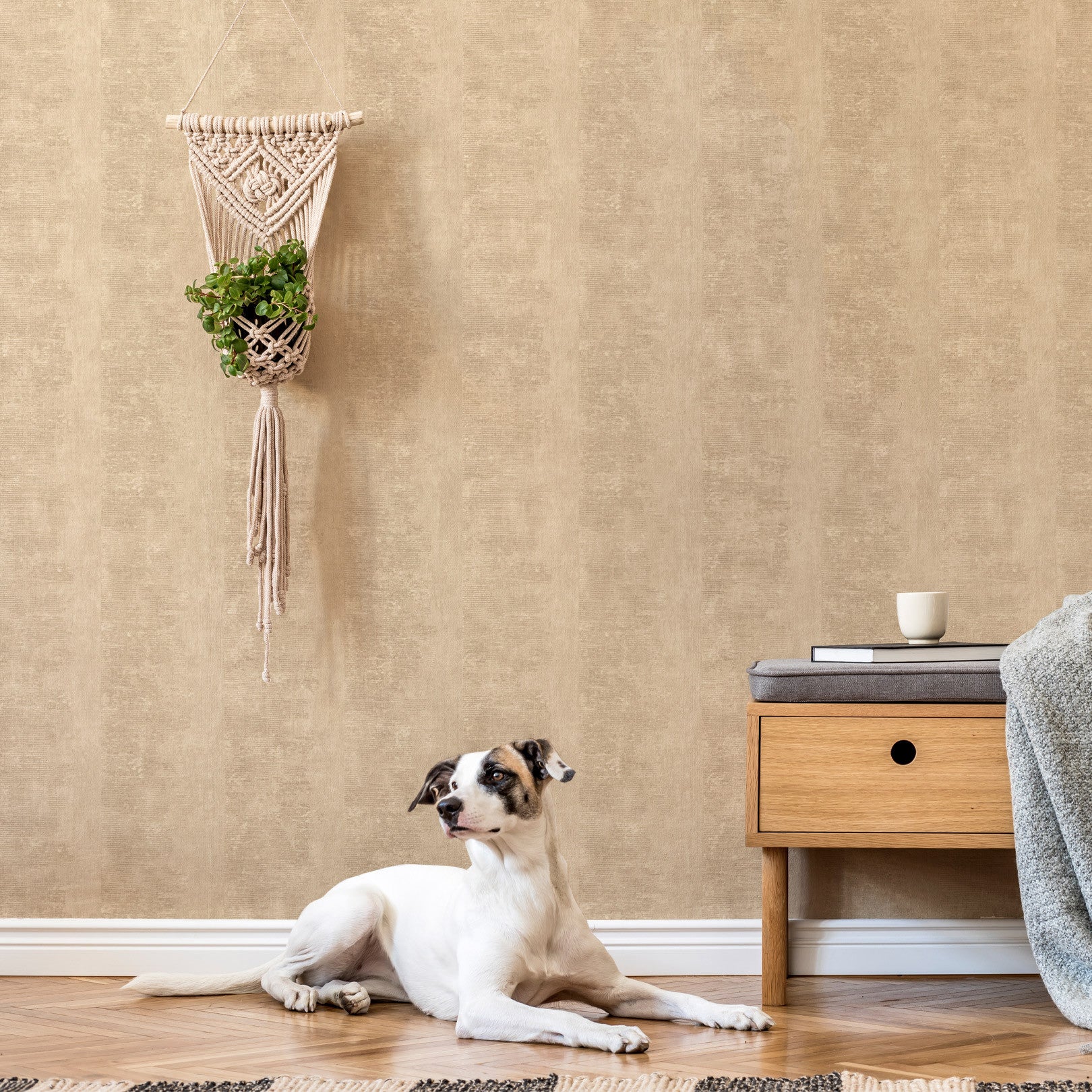 Textured wallpaper with a patina effect ZUMAIA - SABLE beige